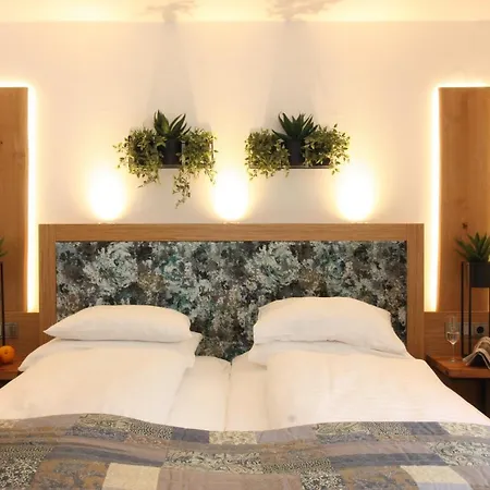 Altstadt-hotel 4* Passau